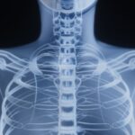 pain under scapula shoulder blade anatomy