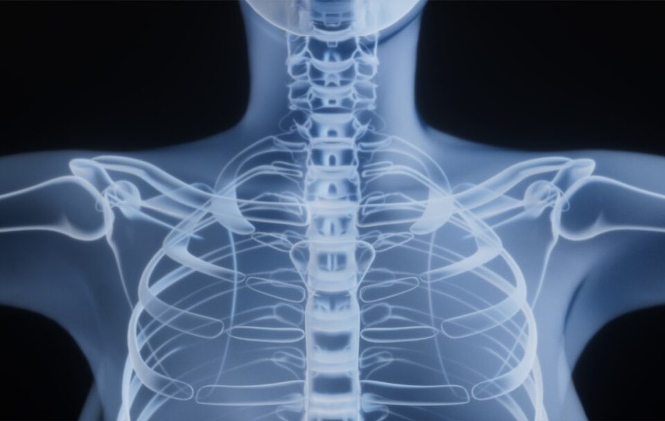 pain under scapula shoulder blade anatomy