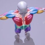 rhomboid pain causes
