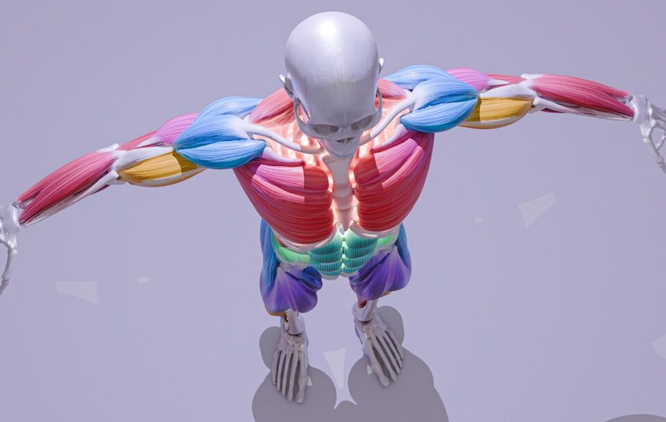 rhomboid pain causes